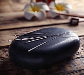 Acupuncture-Pet health animal hospital