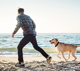 Medical Massage-Pet health animal hospital