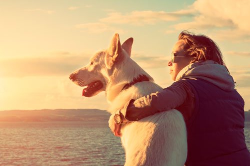 women with dog-pet health animal hospital