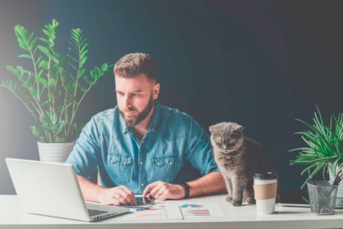 man with cats -Pet health animal hospital