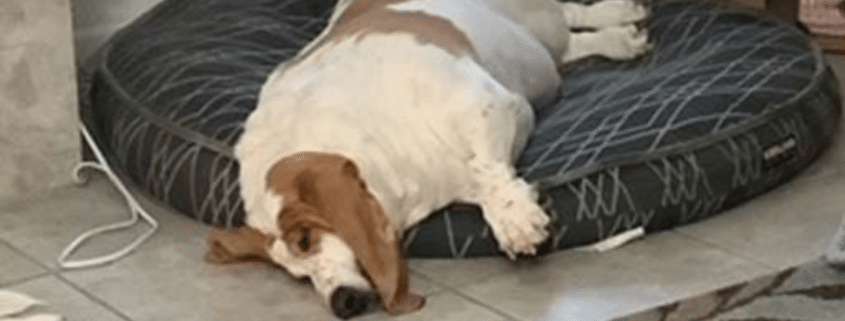 Featured Healing Jorneys