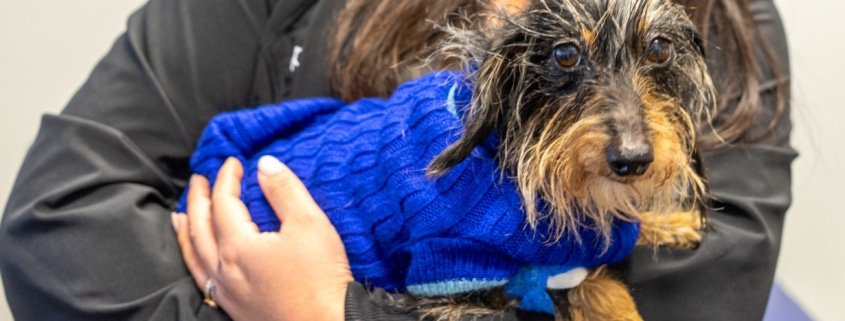 Pre-Anesthetic Prep Crossing T's and Dotting Is