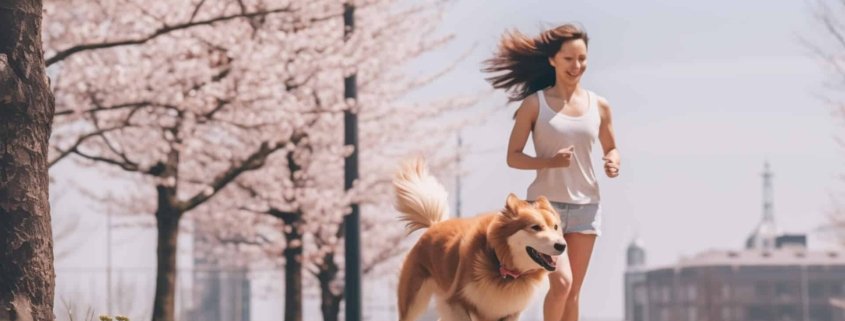 Product Picks & Pet Health Tricks- featured