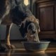 Decoding Pet Food Labels: Dr. B's Guide to Making Informed Choices