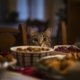 Thanksgiving Header